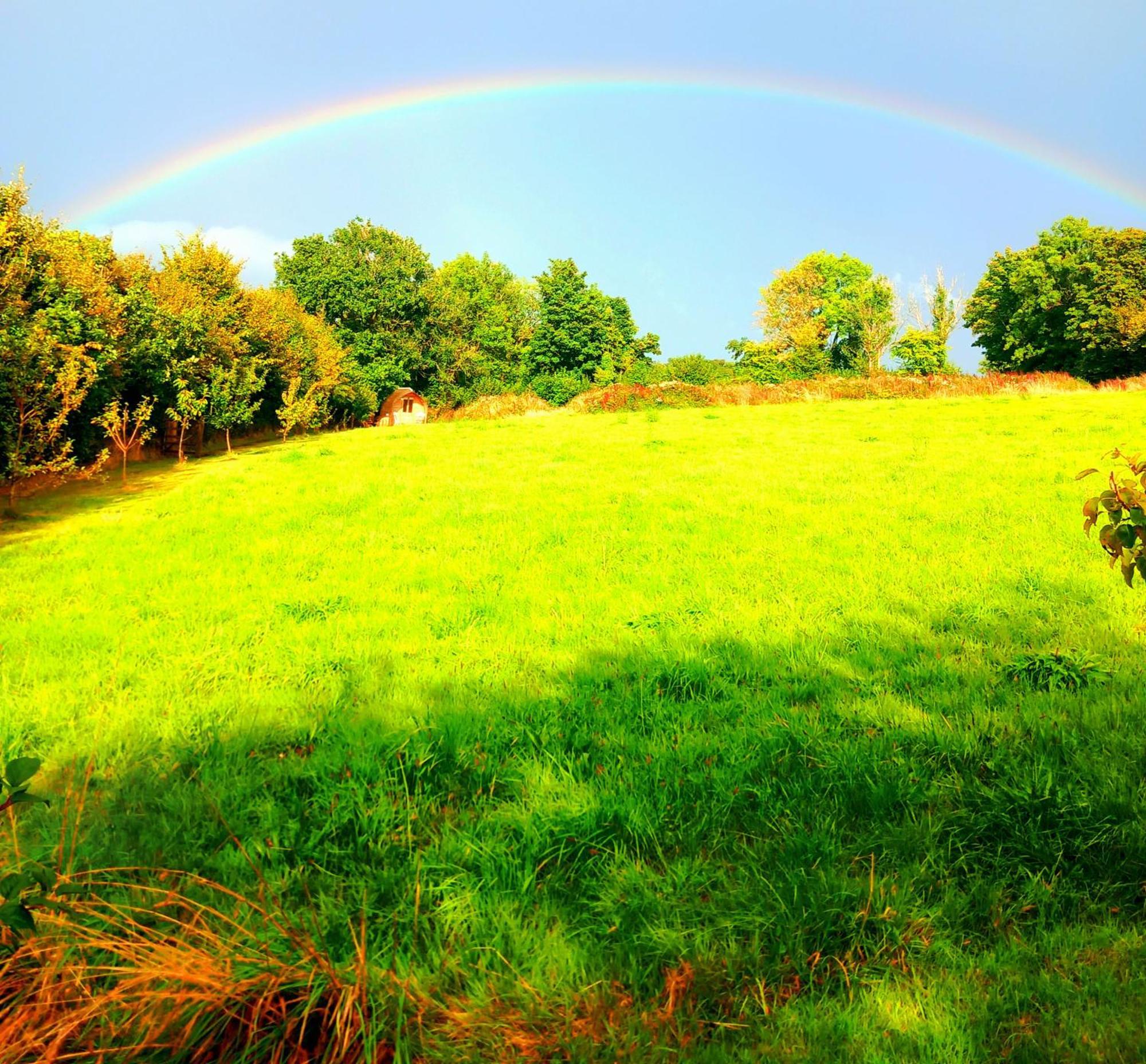 Hotel Ceridwen Glamping, Double Decker Bus And Yurts Llandysul Esterno foto